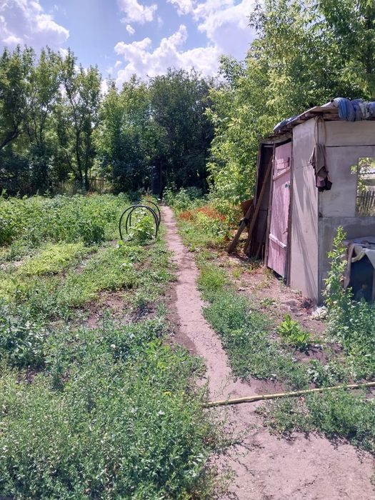 Дача.Опытное поле.