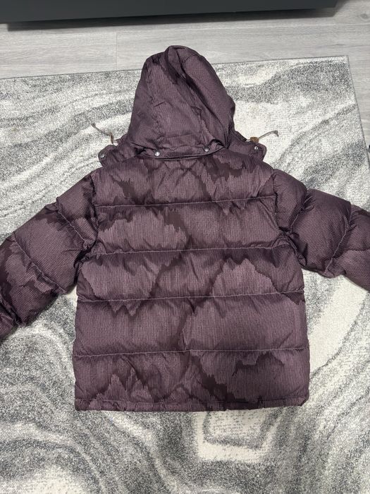 The North Face Winter Jacket