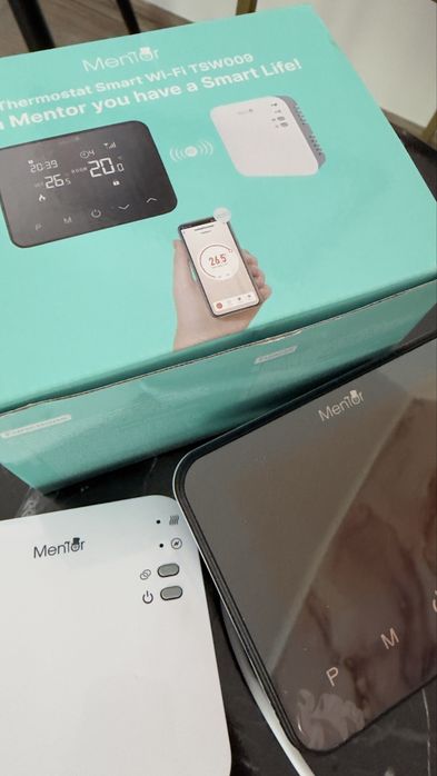 Termostat wifi smart