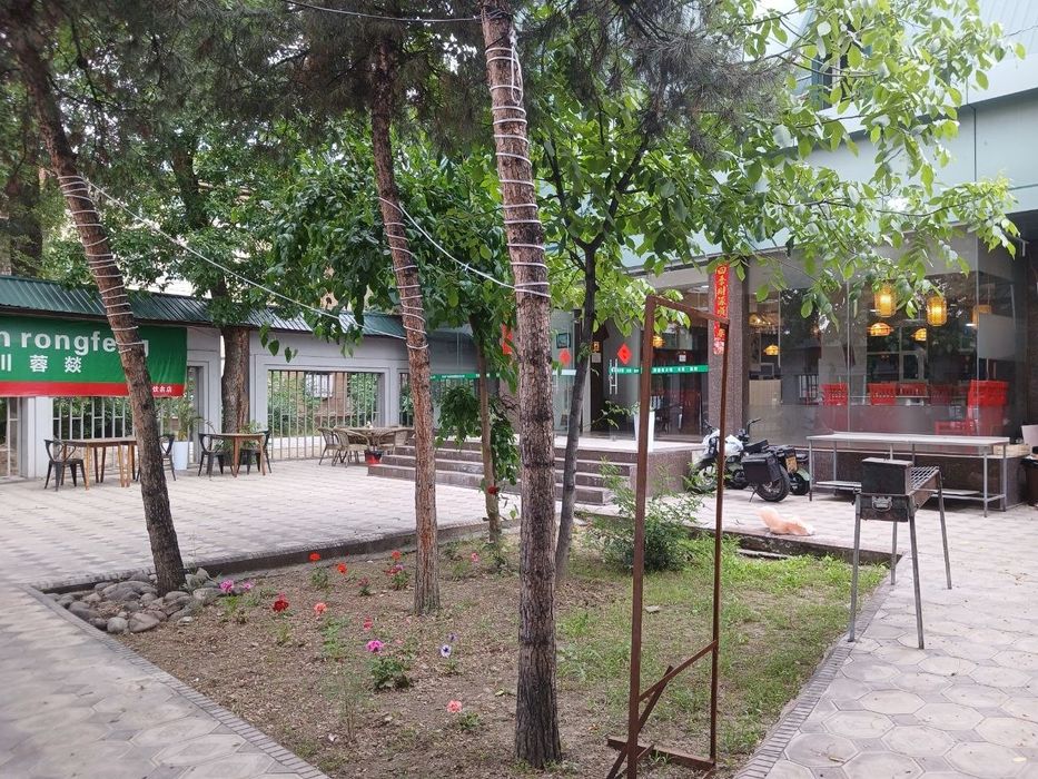 ARENDAga beriladi