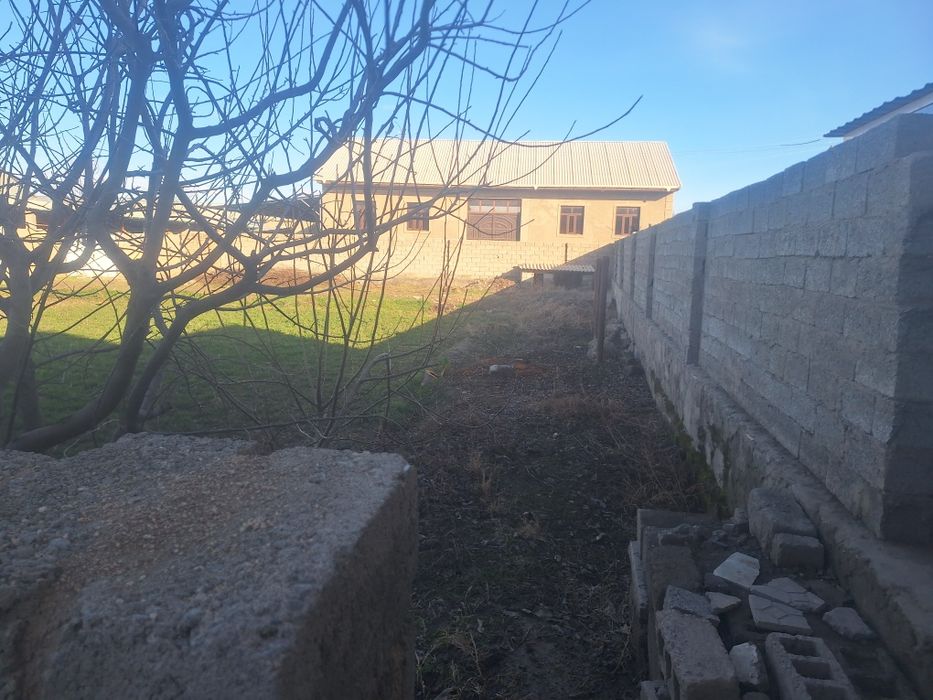 Pastargʻom jumada kichik nayman mfyda 20 sotih