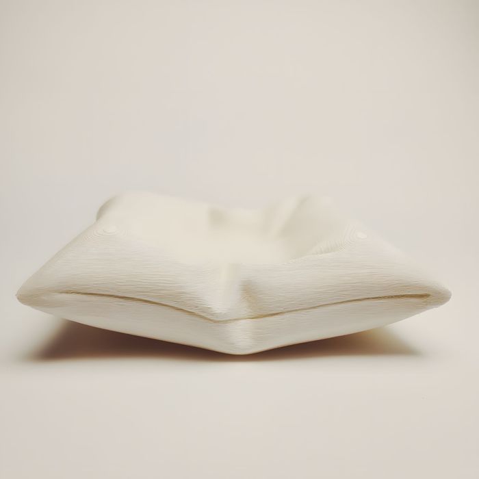 Възглавница за AirPods Pro / AirPods 1, 2, 3 – PLA