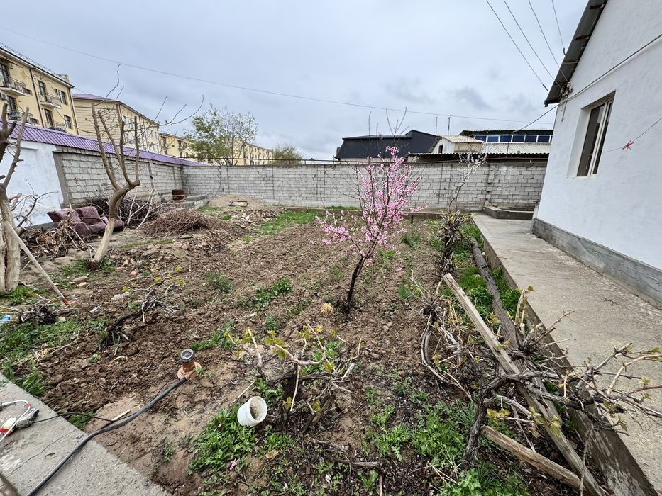 Участка- ховли.