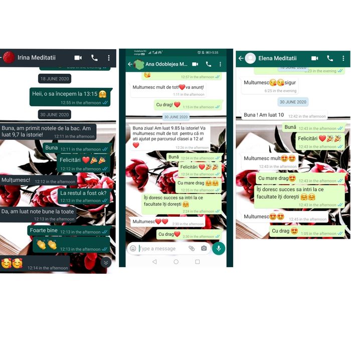 Meditatii Online BAC Istorie