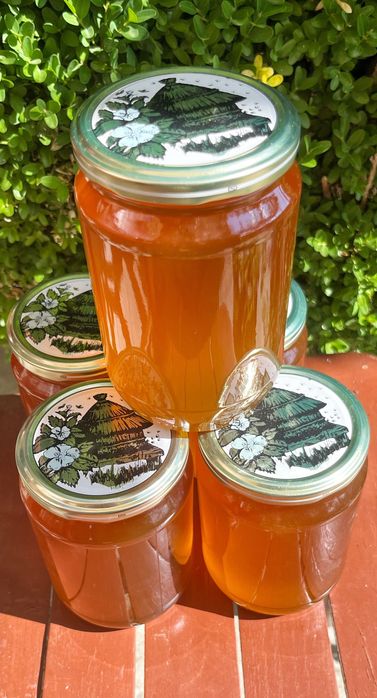 Чист Пчелен Мед от Странджа