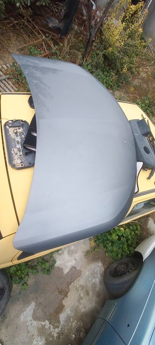 Kapot rodnoy cobaltga mokriy