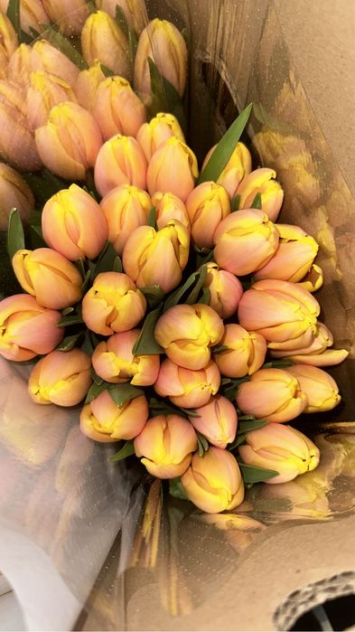 Тюльпаны оптом и в розницу