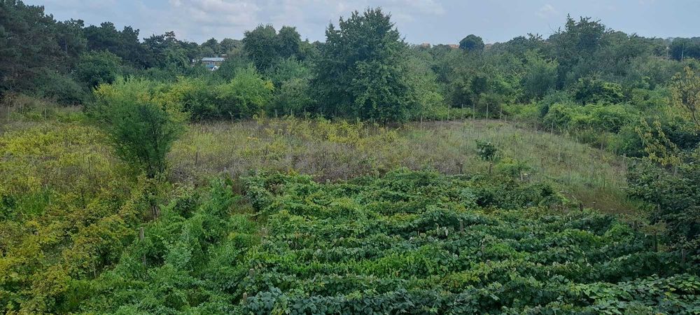 Продава се Хотел в Каварна - 1200 кв.м за 638 €/кв.м - Снимка #17