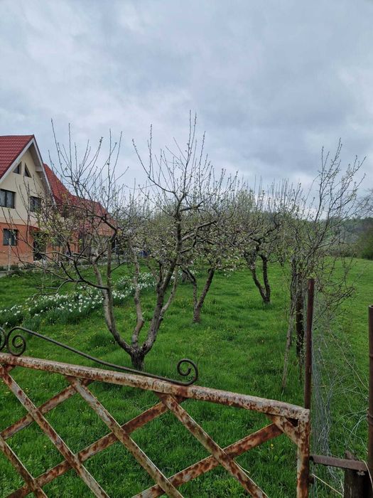 Vand teren intravilan Pucioasa, jud Dambovita