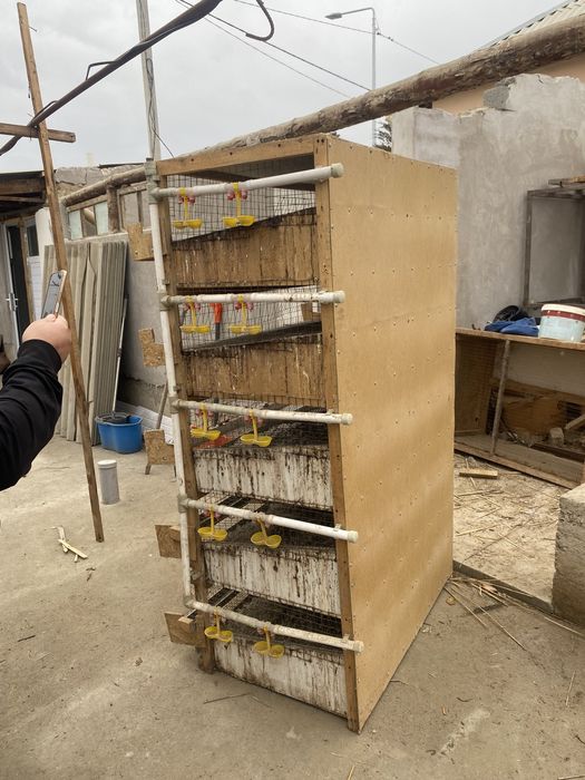 Бөдене клетка , перепёлки несушка