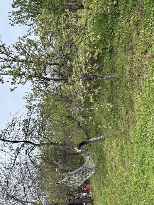 Продава се Парцел в Русе, Център - 706 кв.м за 10 €/кв.м - Снимка #7