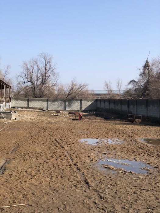 Фазенда Сатылады Откорм Баз