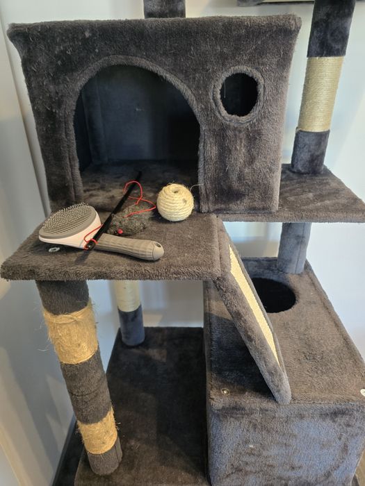 Ansamblu sisal pisici