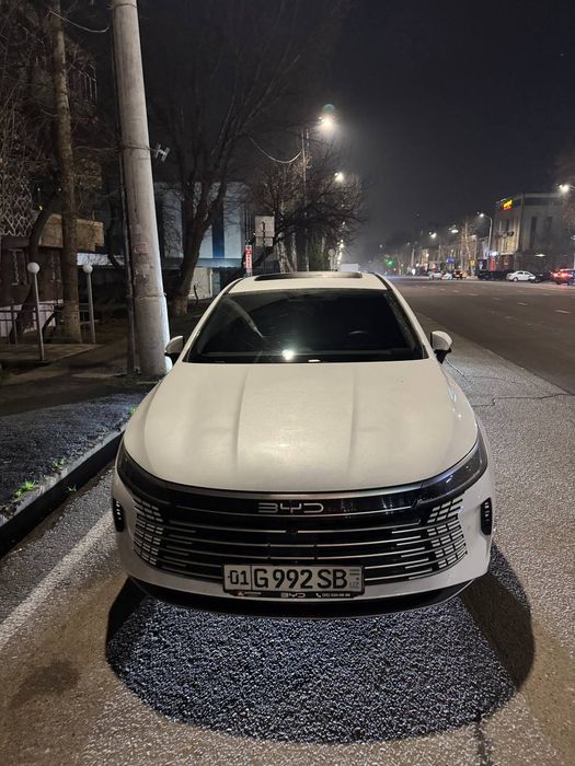 BYD Chazor Luxe 55 km