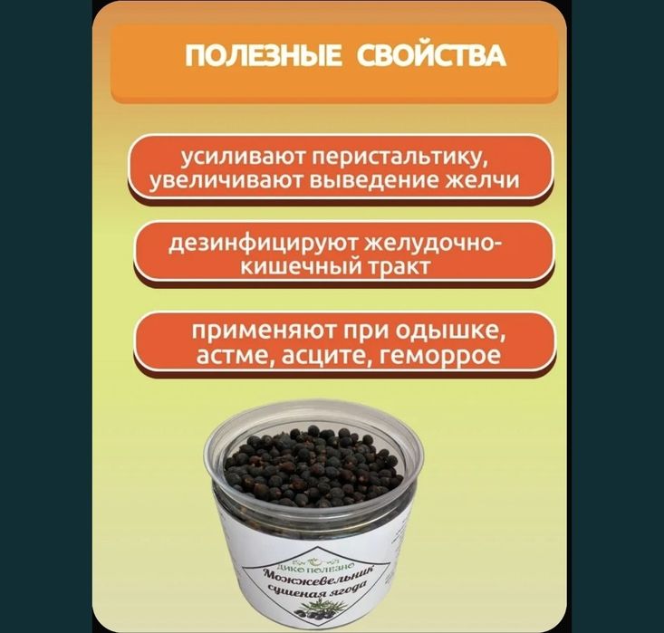 Ягоды можжевельника, сбор 2025