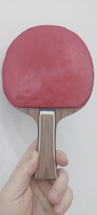 Palete tenis de masa Butterfly Dignics 09C=250 RON