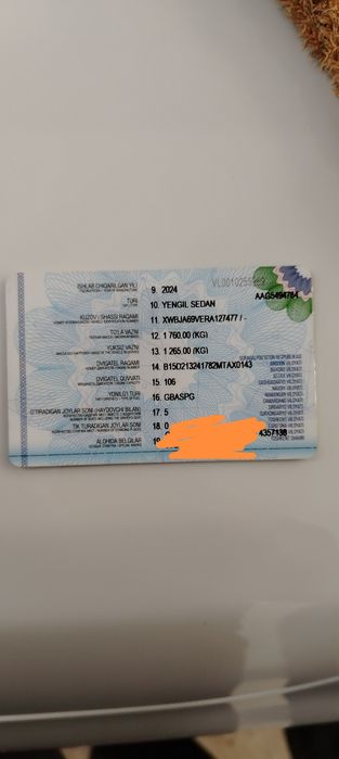 Other Cobalt 2024 — 3