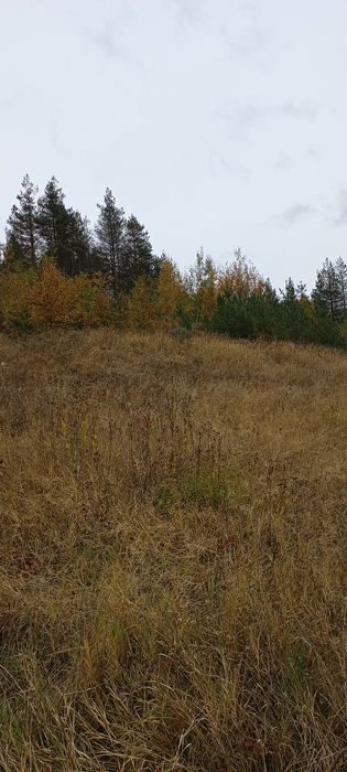 Продава се Земеделски имот в с. Средногорци, Област Смолян -  кв.м за 1573 €/дка - Снимка #1