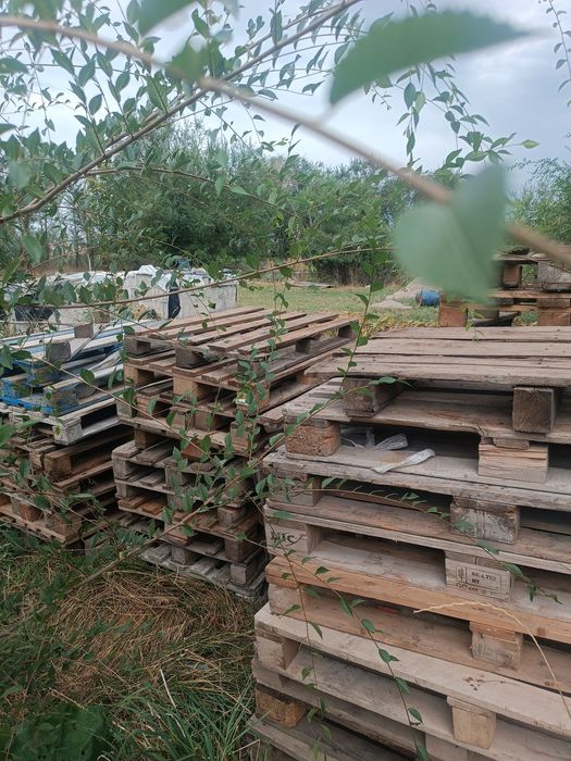 Патдон сатылады СРОЧНО