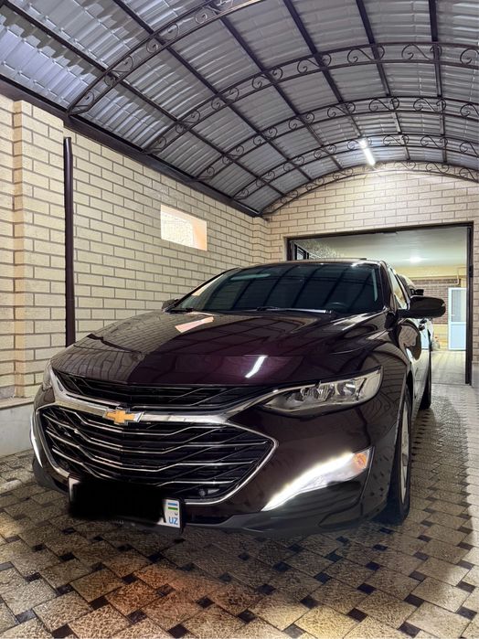 Malibu 2. PREMIER. Bozorchila qimasin