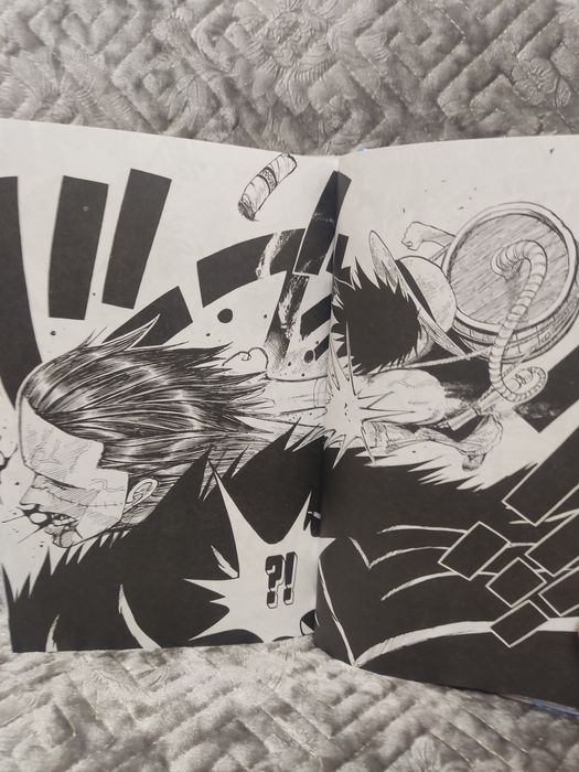 Ван Пис 8 книга большой куш