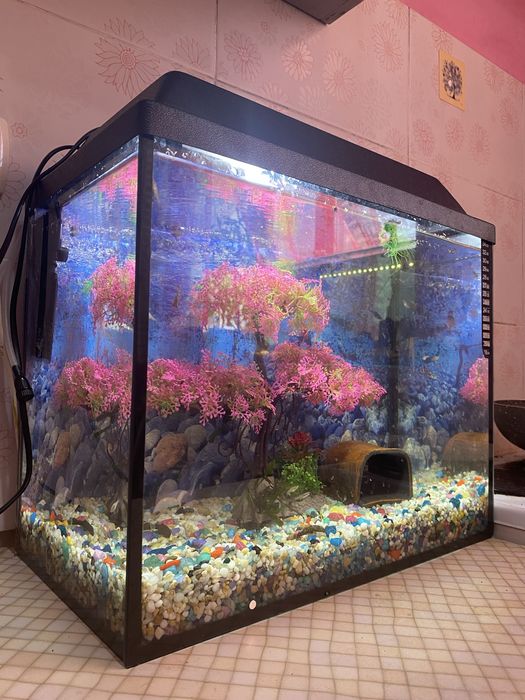 Аквариум  25 литров