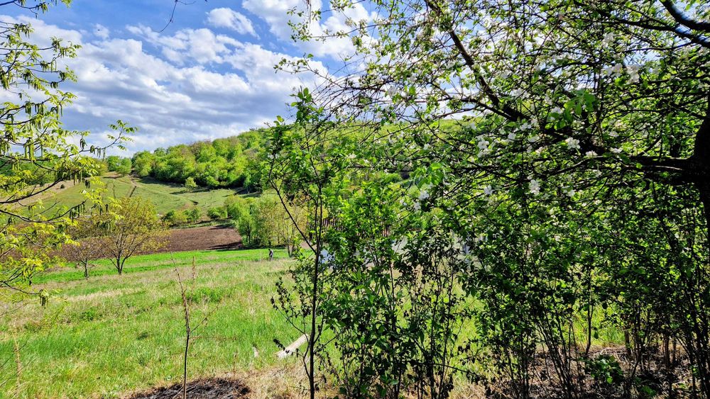 Teren 3826 mp în sat Moldovenești