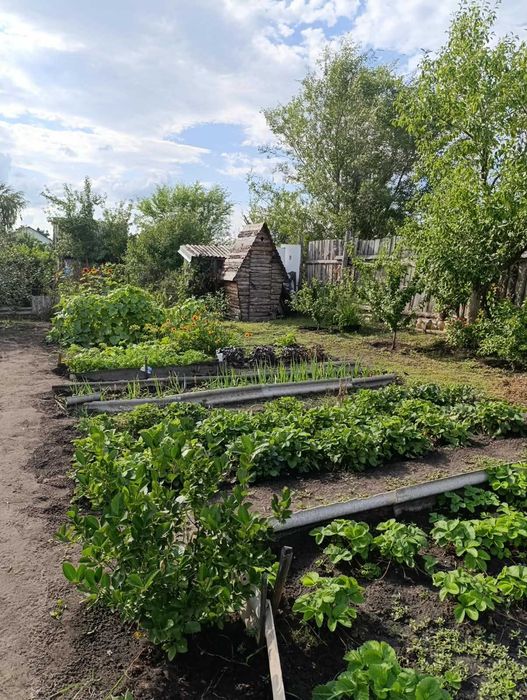 Продам дачу в Мелиараторе