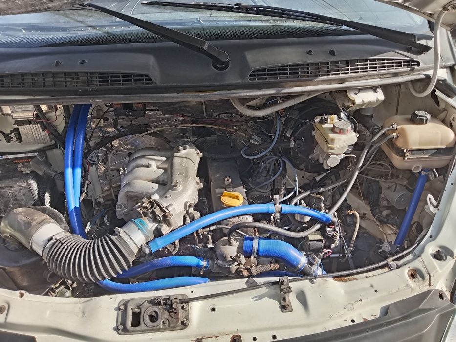 Gazel biznes zor sastayanie