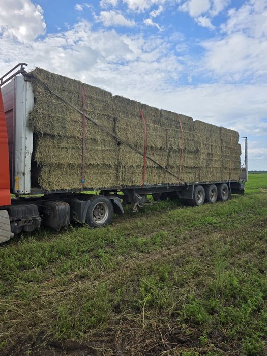 Baloti coasa a 2 a dimensiune 2m×1.7m×1m 500 ron per balot, 40 baloti pe tir , transport inclus in Buzau, Braila, Galati, Vrancea, Prahova