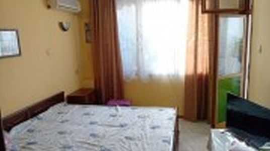 Стаи под наем - целогодишен прием от 20лв.