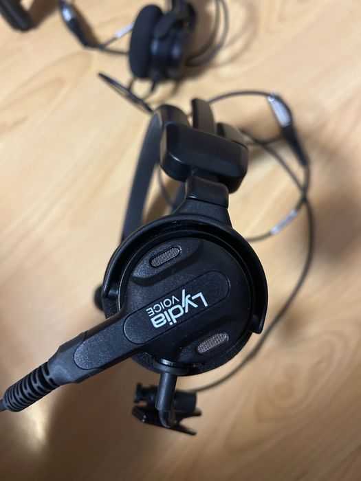 Lydia talkmen за бизнес