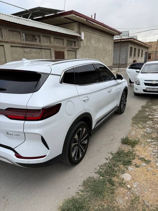 Byd chempion Restailing 2024