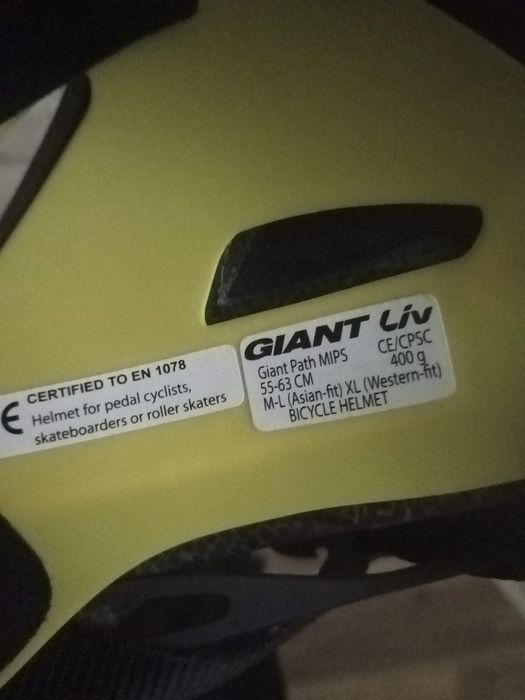 Giant GiantPath MIPS
