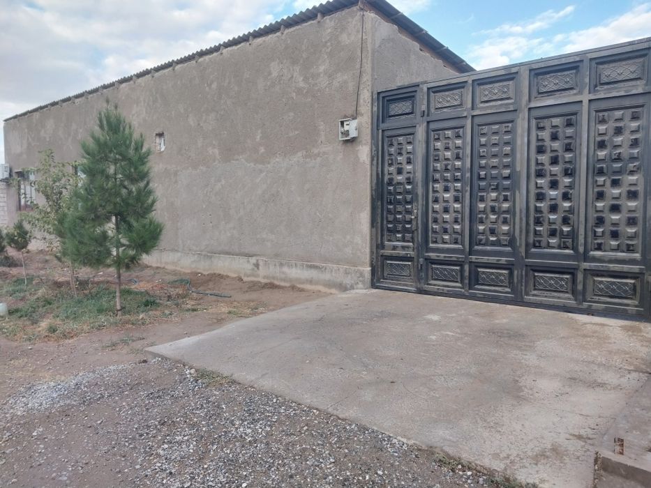 Holi sotiladi 6 sutik