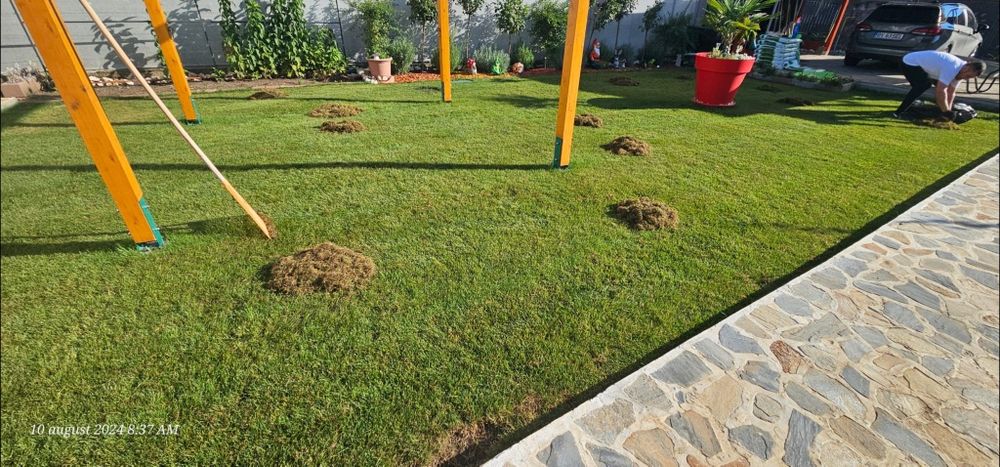 Mentenanță, tuns gazon  Bucuresti si Ilfov