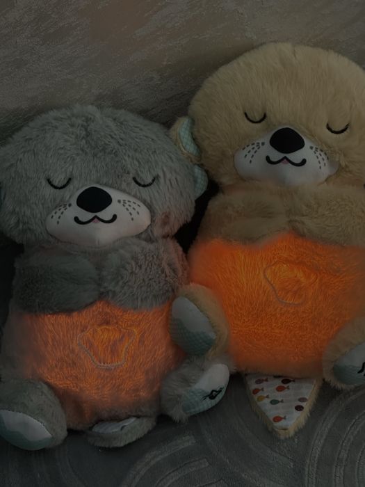 Спящая выдра