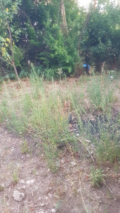 Продава се Къща в с. Ладарево, Област Благоевград - 180 кв.м за 102 €/кв.м - Снимка #5