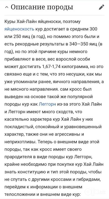 Хаммаси 100 % товук чикади Цыплята курочки несушки. Jojalar