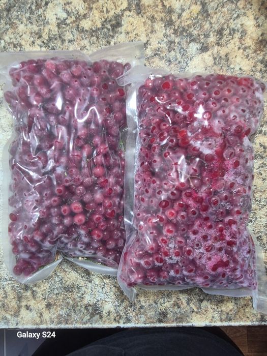 Калина замороженая