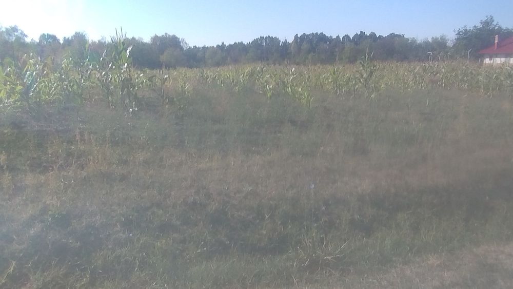 Vind 6700m teren intravilan