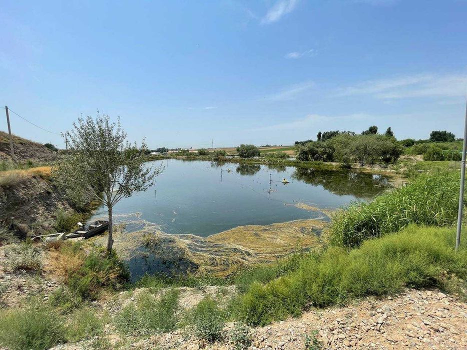 Готовый Бизнес (Рыбное Хозяйство)