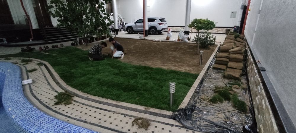 Газон рулонвый  tayyor gazon ekish.   17000