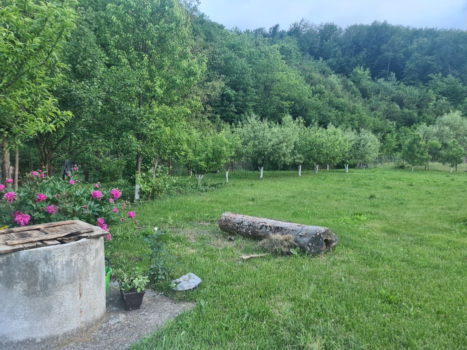Vand casa cu gradina