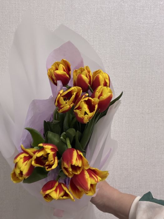 Цветы Астана тюльпаны