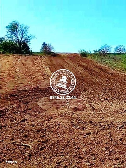 Teren pentru constructii case  de vanzare Iasi, Rediu,
