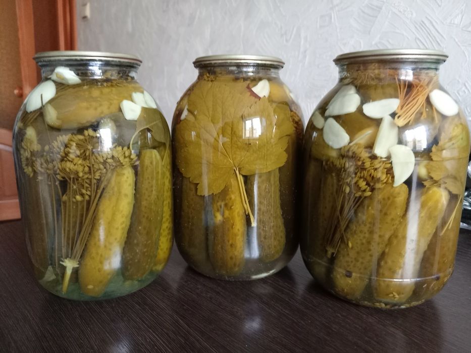 Маринованные огурцы