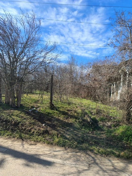 Loc de casa 2364mp comuna Brăhășești