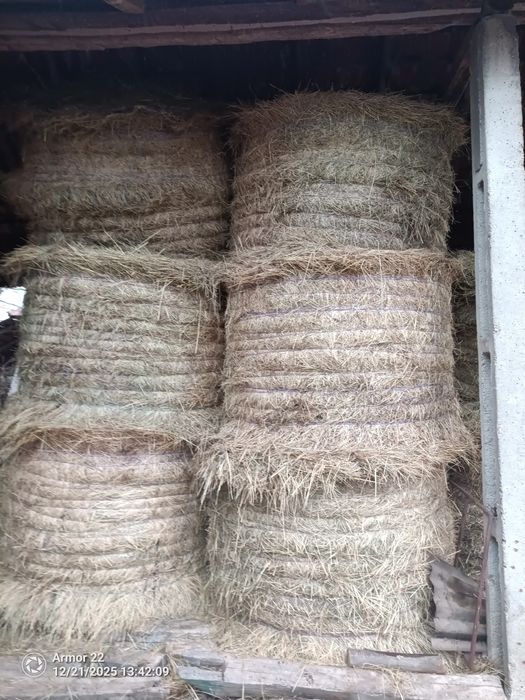 Vând baloți de fan