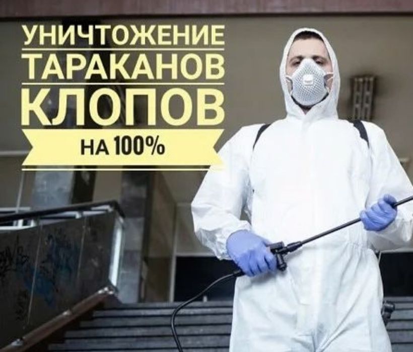 Дезинфекция квартиры Семей,уничтожение тараканов Семей